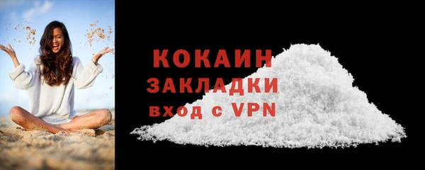 шишки Магас