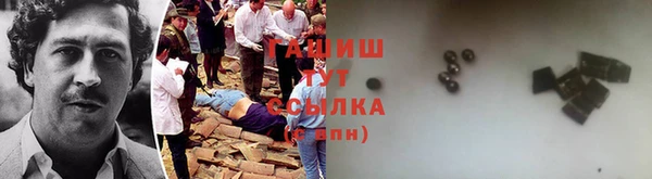 шишки Магас