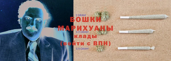 шишки Магас