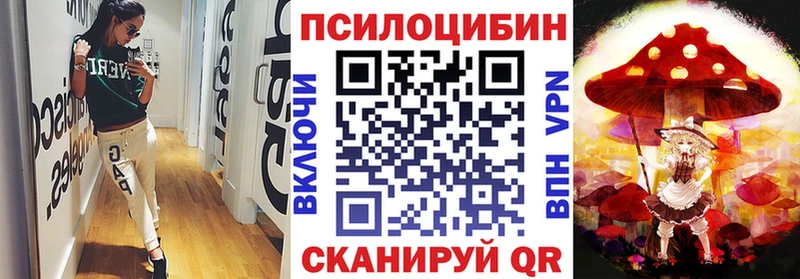 Псилоцибиновые грибы Psilocybe  даркнет сайт  MEGA ТОР  Поворино 
